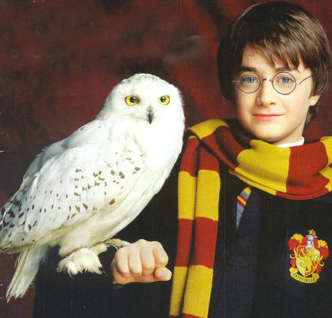 Detail Foto Harry Potter Kecil Nomer 45