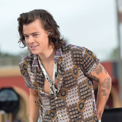 Detail Foto Harry Style Nomer 11