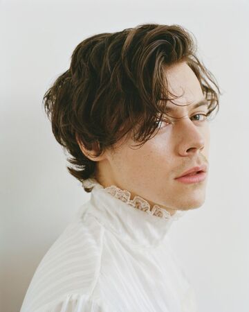 Detail Foto Harry Style Nomer 12