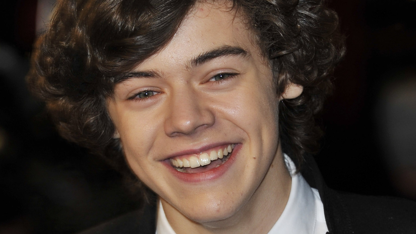 Detail Foto Harry Style Nomer 28