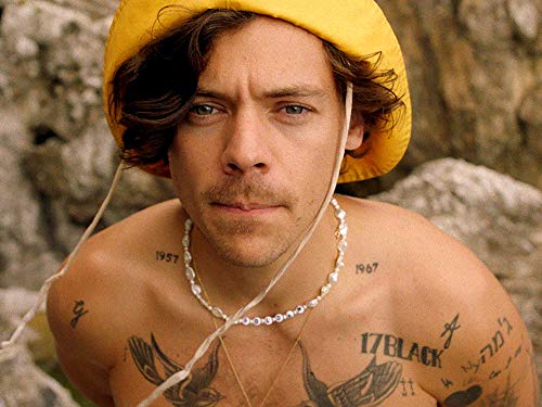 Detail Foto Harry Style Nomer 30