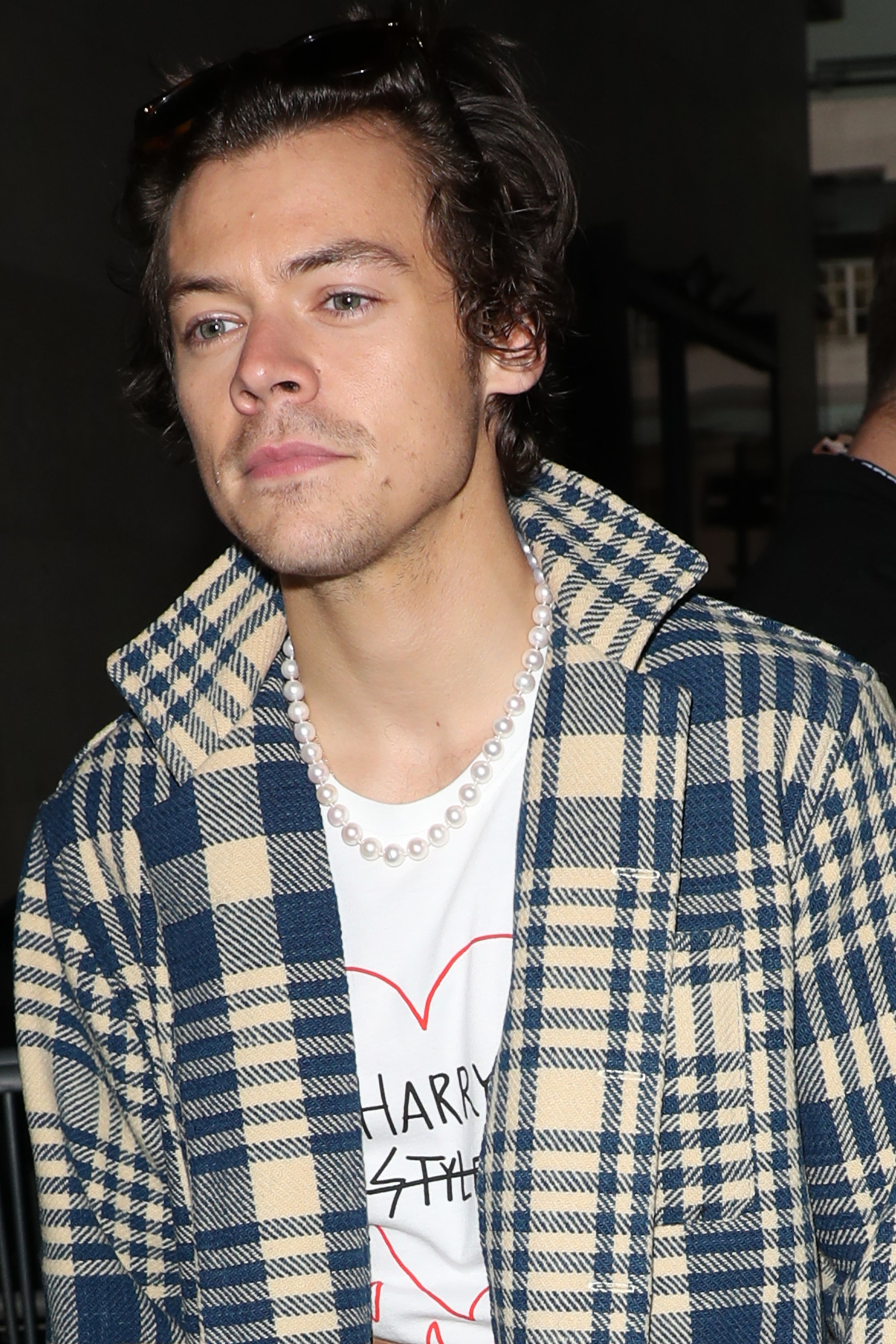 Detail Foto Harry Style Nomer 32