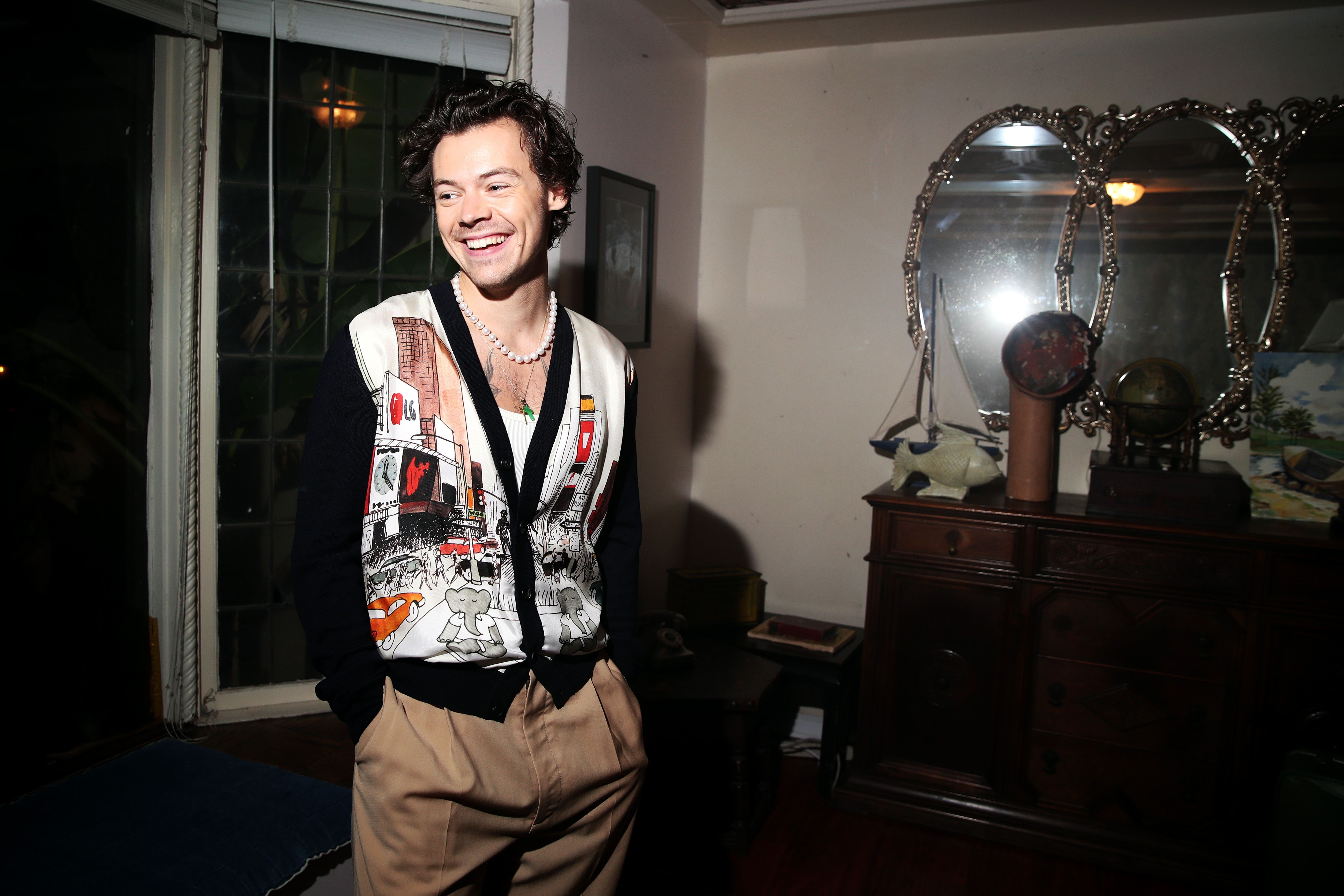 Detail Foto Harry Style Nomer 33