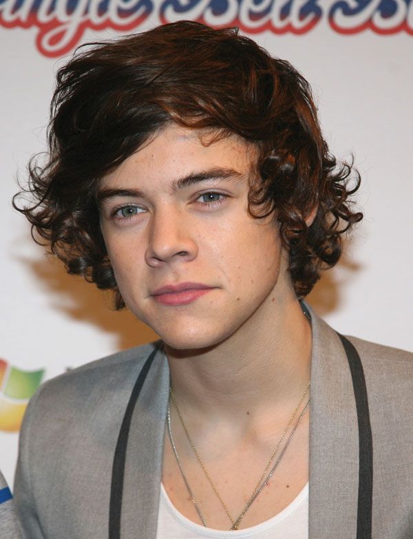 Detail Foto Harry Style Nomer 54