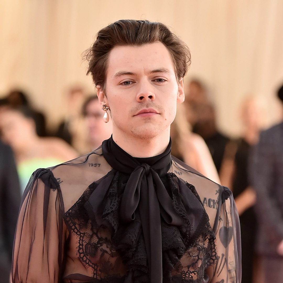 Detail Foto Harry Style Nomer 9