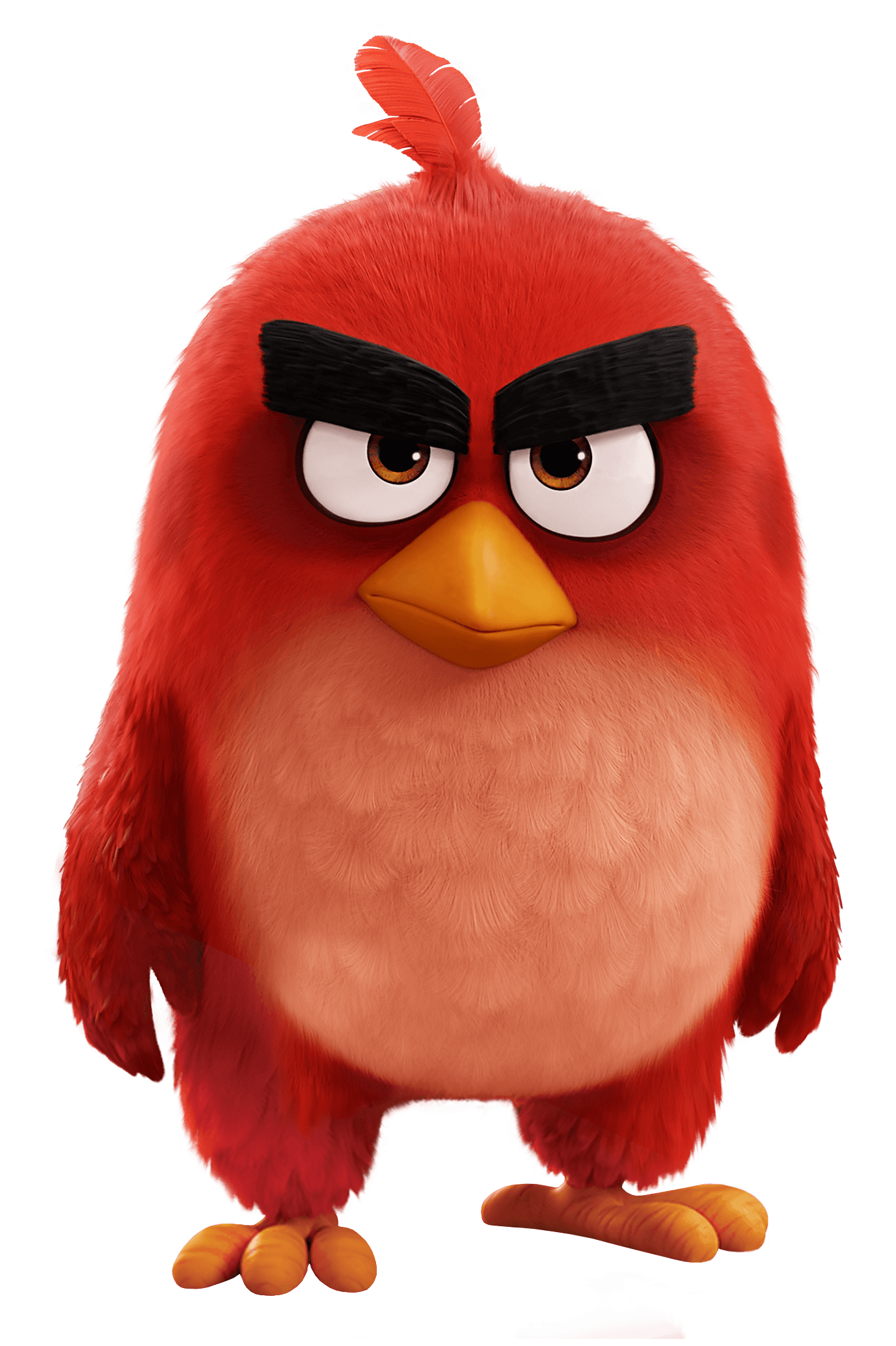 Detail Roter Angry Bird Nomer 12