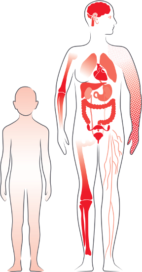 Detail Anatomie Mensch Frau Nomer 9