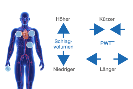 Detail Anatomie Mensch Frau Nomer 17