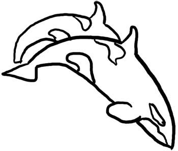 Detail Delfin Bleistiftzeichnung Nomer 15