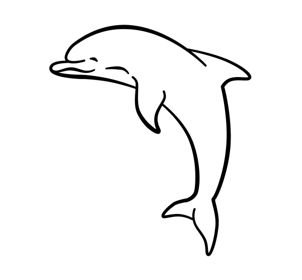 Detail Delfin Bleistiftzeichnung Nomer 2
