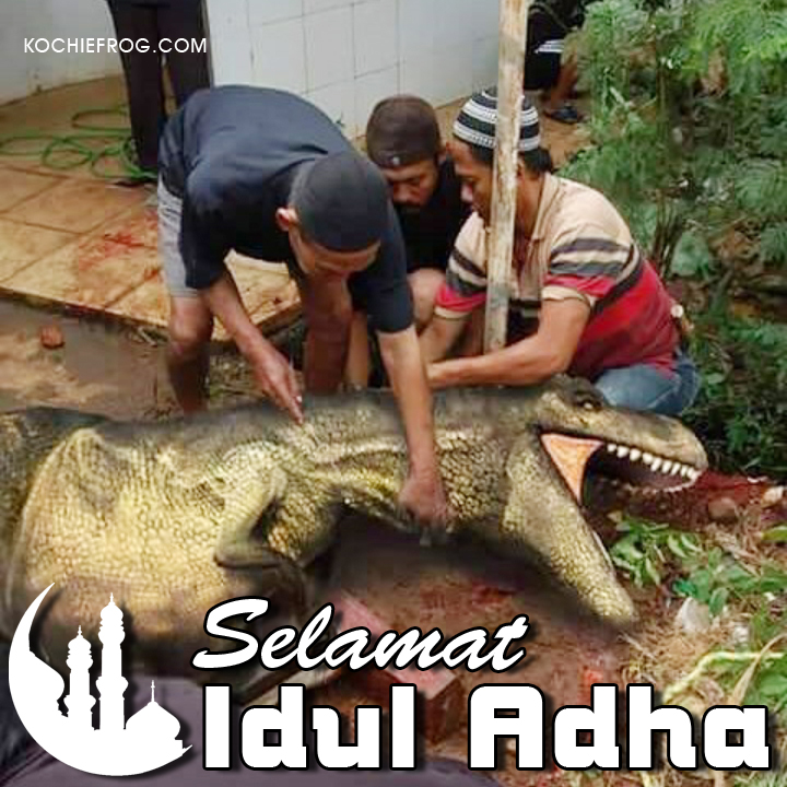 Detail Foto Hewan Lucu Dan Gokil Nomer 22