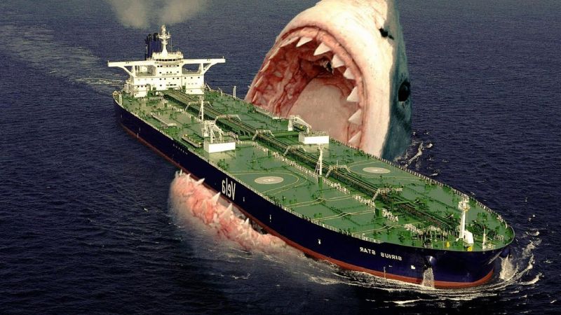 Download Foto Hiu Megalodon Nomer 34