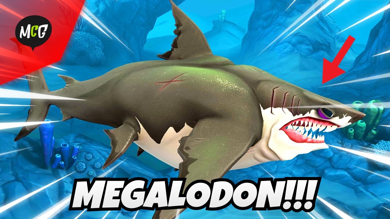 Download Foto Hiu Megalodon Nomer 52