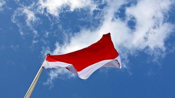 Detail Foto Hormat Bendera Nomer 27