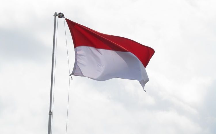 Detail Foto Hormat Bendera Nomer 44