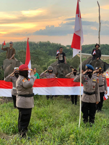 Detail Foto Hormat Bendera Merah Putih Nomer 35