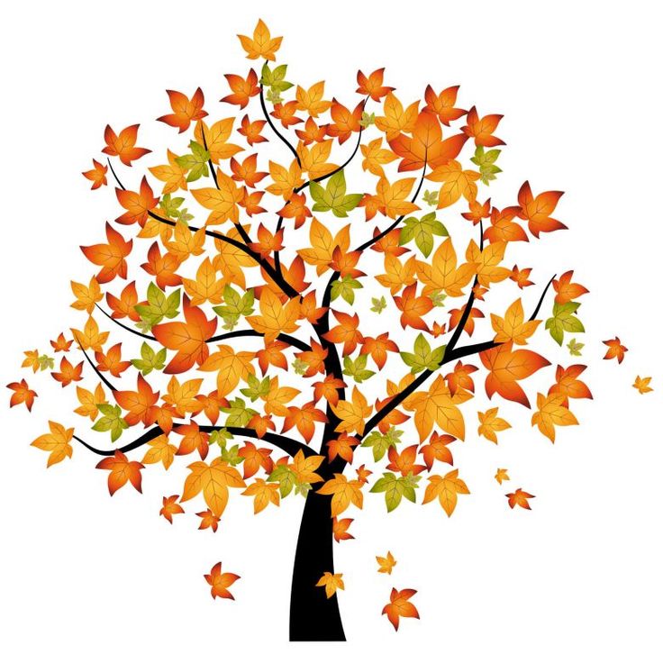 Detail Herbst Baum Zeichnen Nomer 2