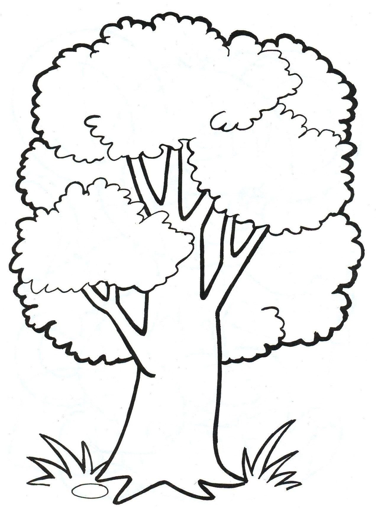 Detail Herbst Baum Zeichnen Nomer 20