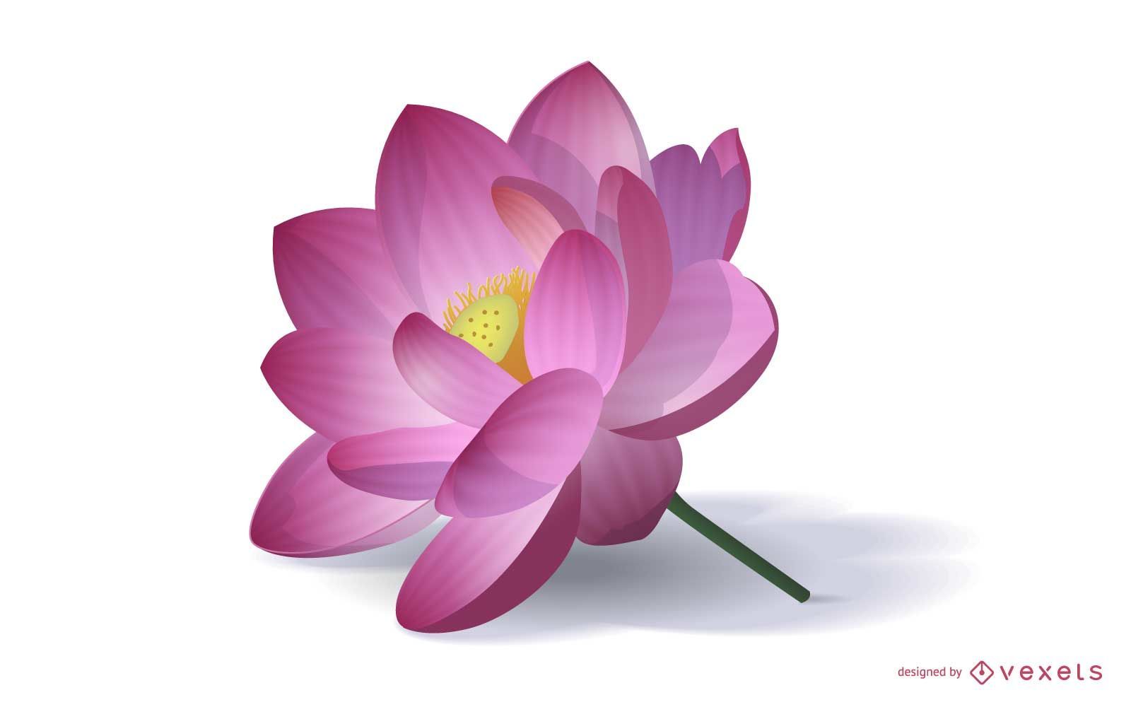 Detail Lotusblume Grafik Nomer 8