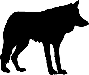 Detail Schwarzer Wolf Nomer 10