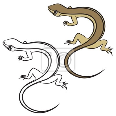 Detail Zoologisch Eidechse Nomer 6