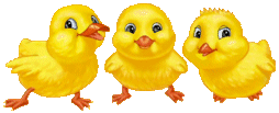 Anak Ayam Animasi - KibrisPDR