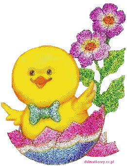 Detail Anak Ayam Animasi Nomer 6