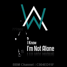 Animasi Alan Walker - KibrisPDR