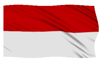 Detail Animasi Bendera Palestina Nomer 17