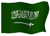 Detail Animasi Bendera Palestina Nomer 31