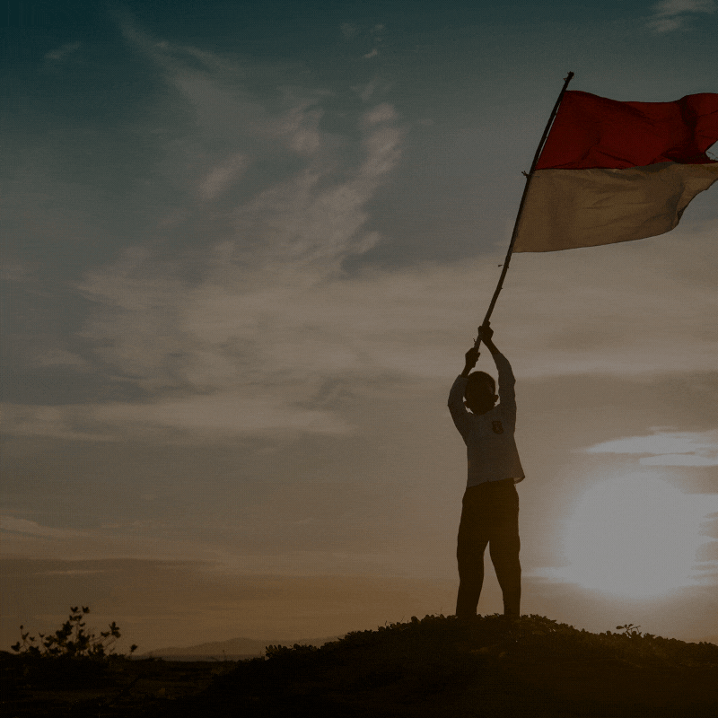 Detail Animasi Bendera Palestina Nomer 44