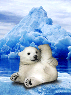 Detail Animasi Beruang Kutub Nomer 47