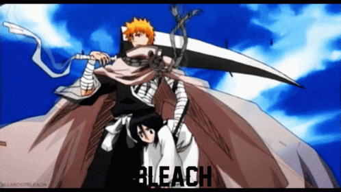 Detail Animasi Bleach Nomer 24