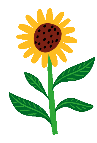 Detail Animasi Bunga Matahari Nomer 10