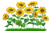 Detail Animasi Bunga Matahari Nomer 3