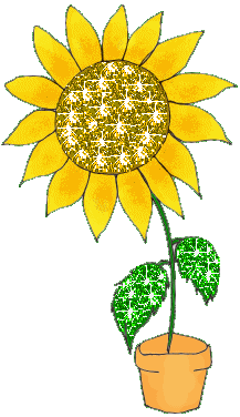 Detail Animasi Bunga Matahari Nomer 21