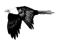 Detail Animasi Burung Garuda Nomer 22