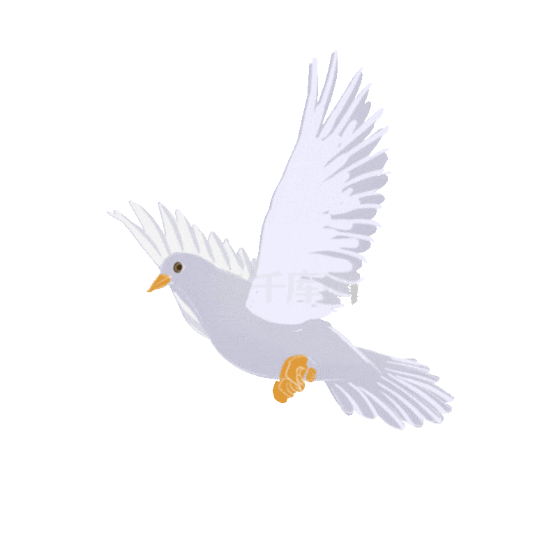 Detail Animasi Burung Merpati Nomer 38