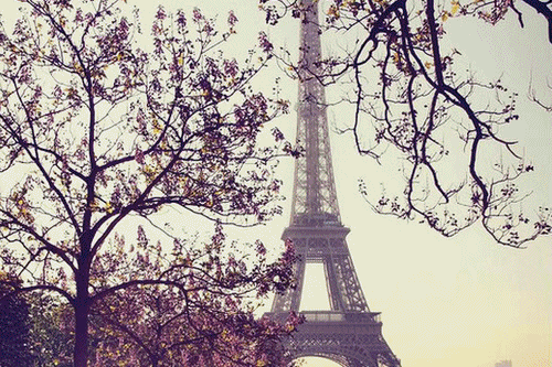 Detail Animasi Eiffel Nomer 4