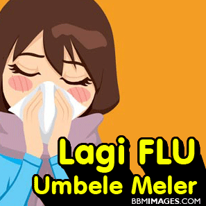 Detail Animasi Flu Nomer 2