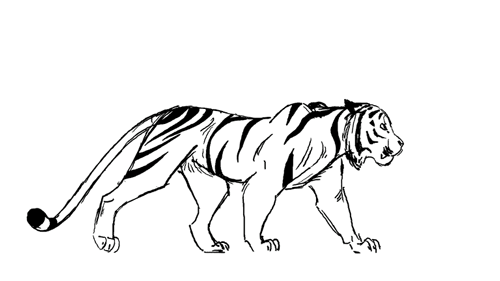 Detail Animasi Gambar Harimau Nomer 4