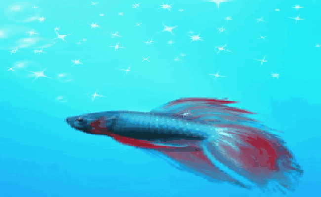 Detail Animasi Gambar Ikan Nomer 19