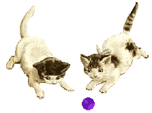 Detail Animasi Kucing Bergerak Dan Bersuara Nomer 7