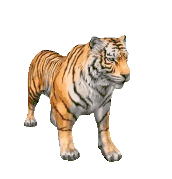 Detail Animasi Macan Nomer 2