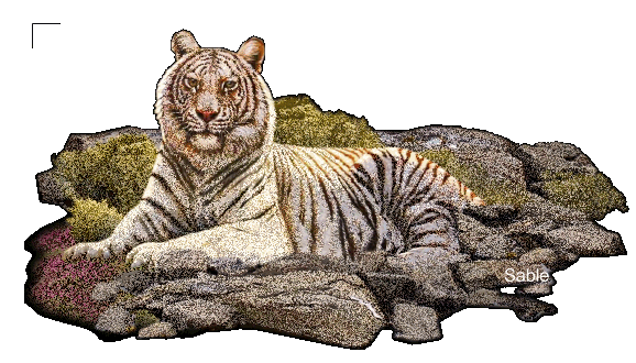 Detail Animasi Macan Nomer 3