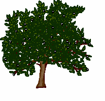 Detail Animasi Menanam Pohon Nomer 23