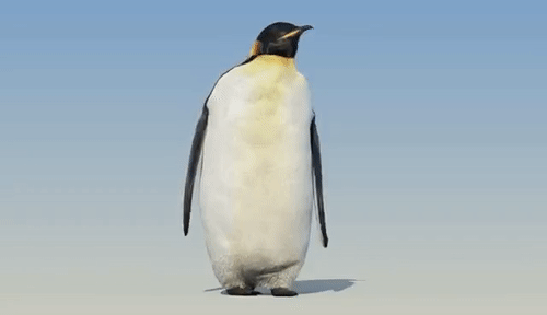 Detail Animasi Pinguin Nomer 10