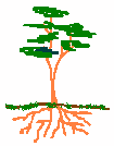 Detail Animasi Pohon Bergerak Nomer 18