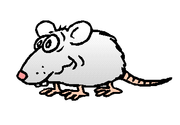Animasi Tikus - KibrisPDR