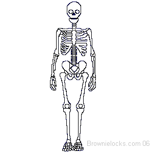 Detail Animasi Tulang Nomer 33
